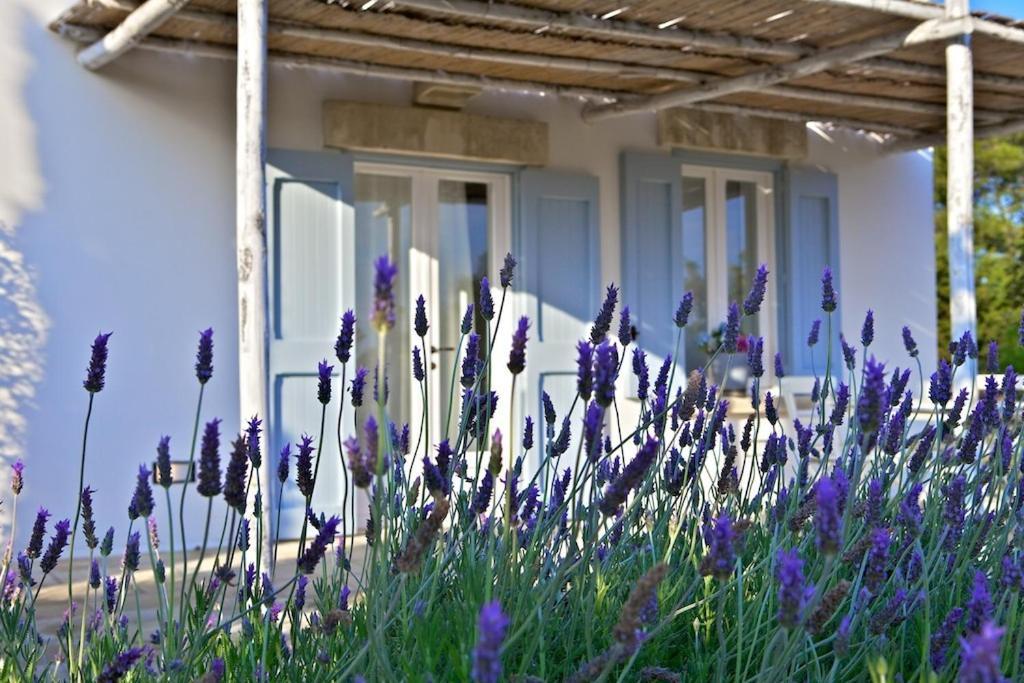 Masseria Montelauro Отранто Екстериор снимка
