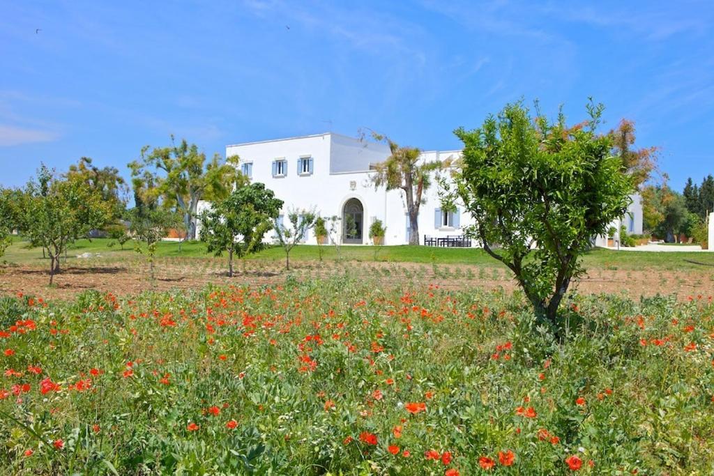 Masseria Montelauro Отранто Екстериор снимка