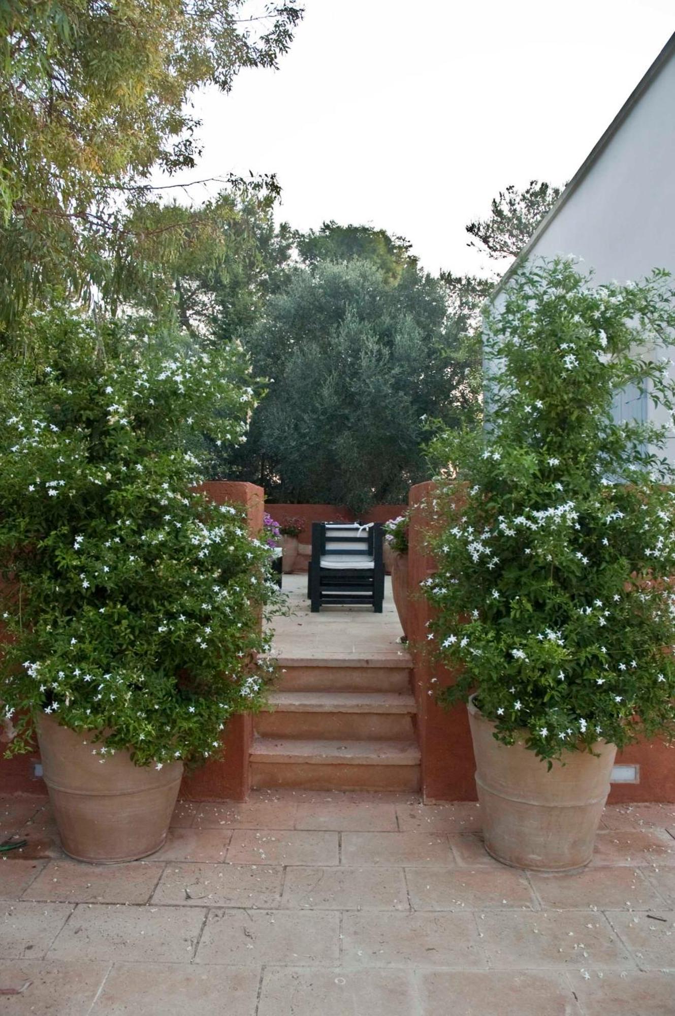 Masseria Montelauro Отранто Екстериор снимка